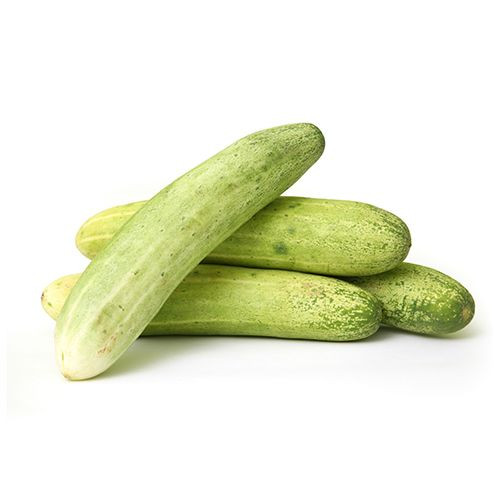 Cucumber Desi