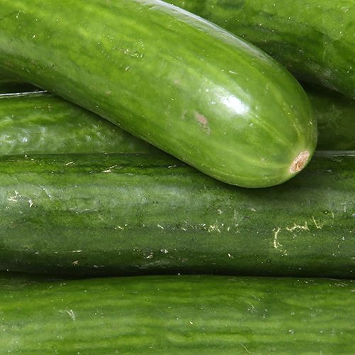 Cucumber English