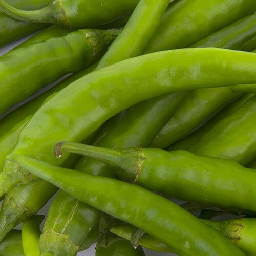 Green Chilly Long