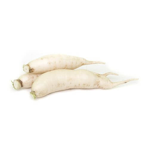 Radish White