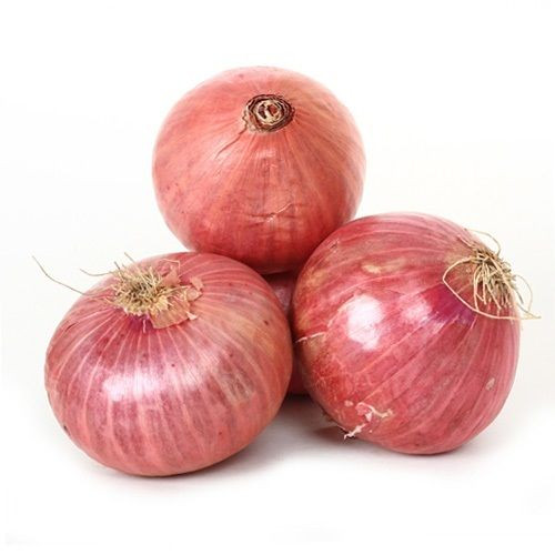 Onion Red