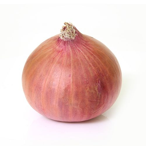 Onion Red