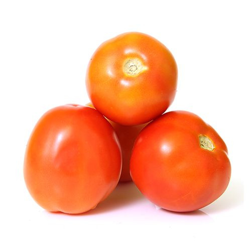 Tomato Hybrid