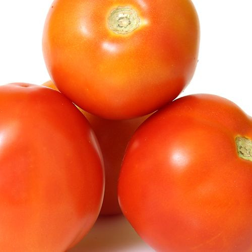 Tomato Hybrid