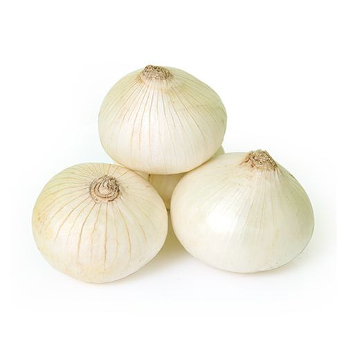 Onion White