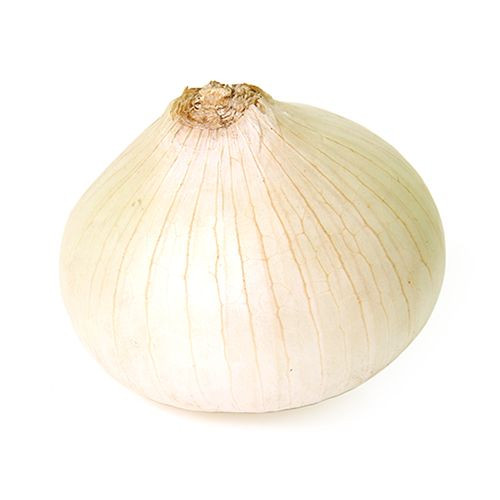 Onion White