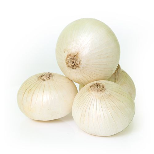 Onion White