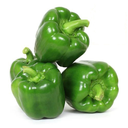 Capsicum - Green