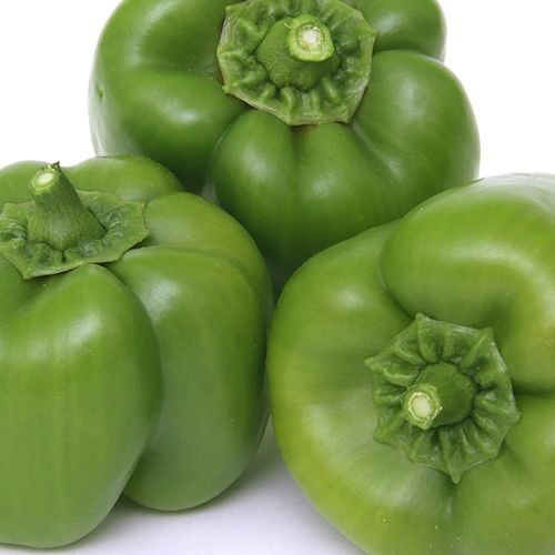 Capsicum - Green