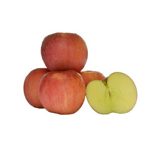 Apple Fuji Regular