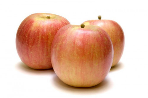 Apple Fuji Regular